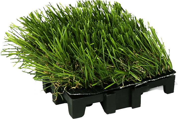 Grass-Cube