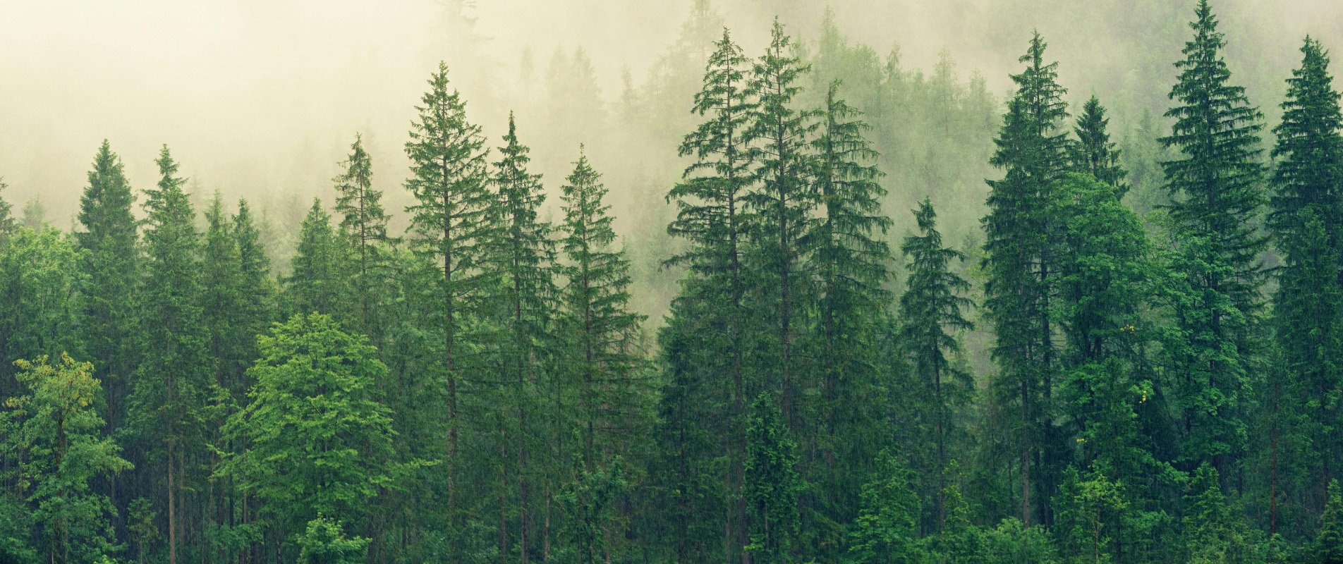 Lower environmental impact